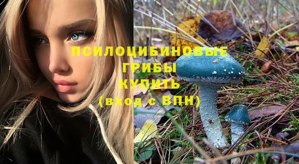 не бодяженный Беломорск