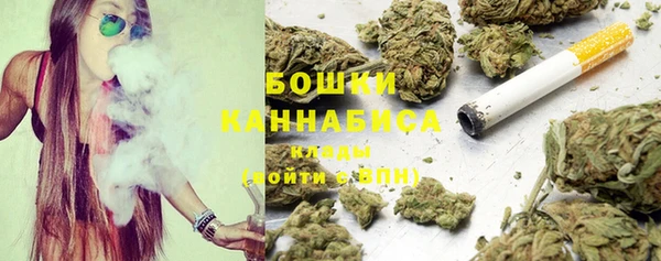 соль ск Белокуриха
