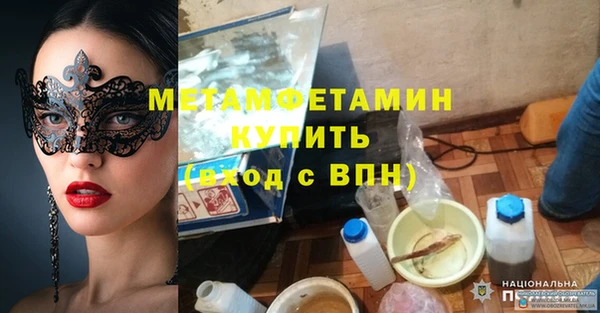 шишки Сосновоборск